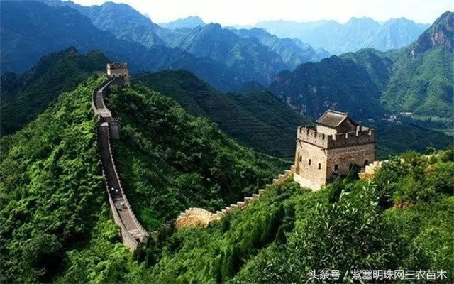 梨木台风景区顺缘农家院,天津蓟县梨木台顺鑫缘农家院