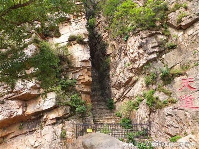 梨木台风景区顺缘农家院,天津蓟县梨木台顺鑫缘农家院