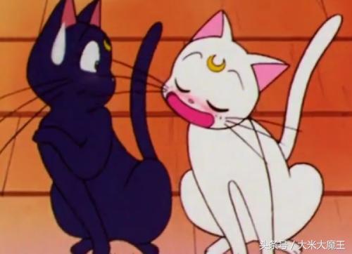 二次元的喵星人 (萌翻世界的喵星人)