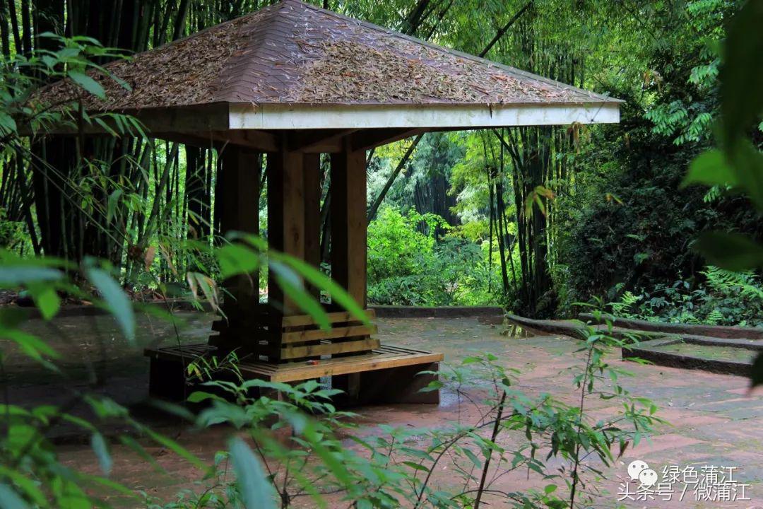 朝阳湖的美景,朝阳湖大美