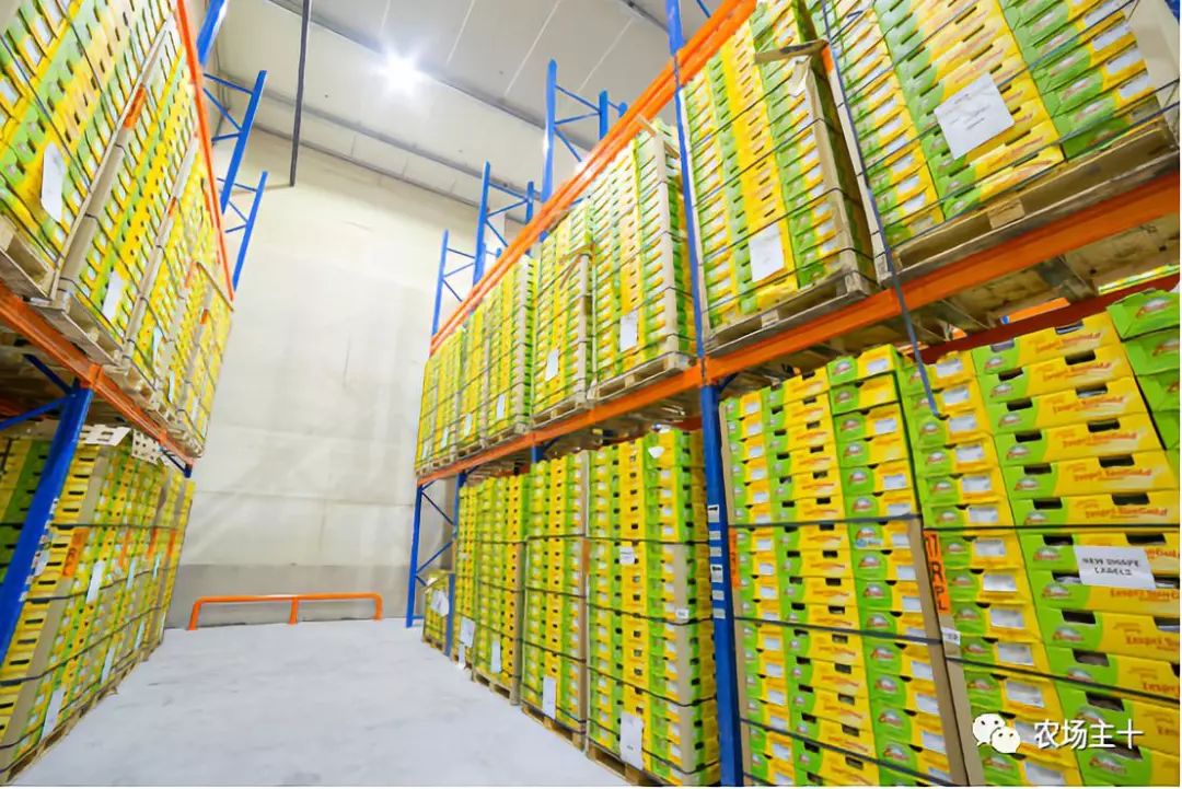 我想在农村建个冷库有前景吗,想在农村建个冷库