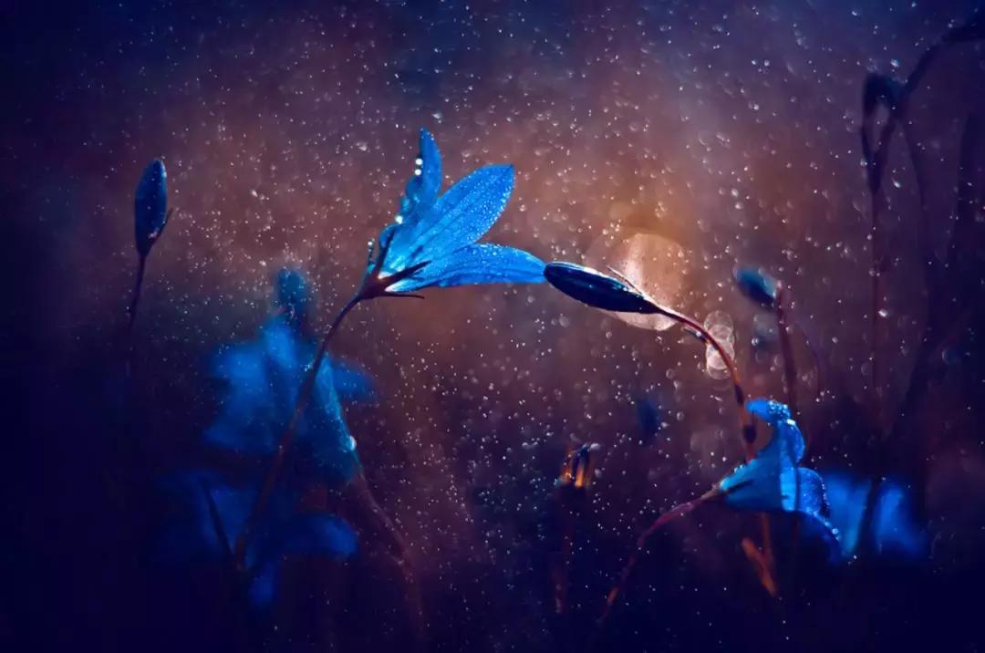 做个花心的女人视频,做个花心的女人歌曲