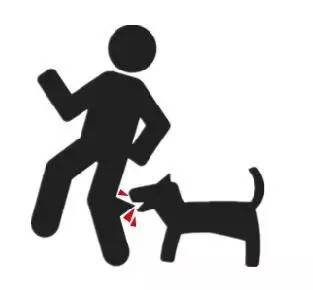 狂犬病致死率100%，这些救命知识一定要早知道！