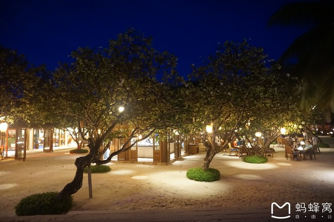 马尔代夫蝴蝶岛,马尔代夫港丽岛属于几星岛