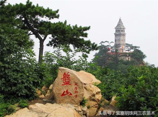 梨木台古树农家院,蓟县梨木台兴业缘农家院