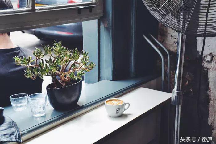 这个人均咖啡4杯的国家，除了梵高郁金香，有哪些咖啡馆值得逛