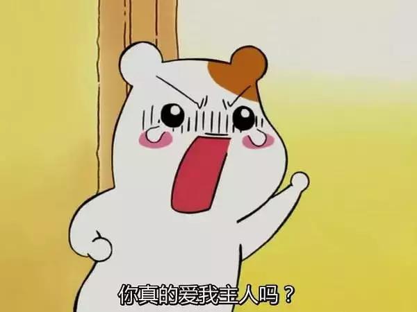 不按套路出牌的篮球攻略,球赛实用战术