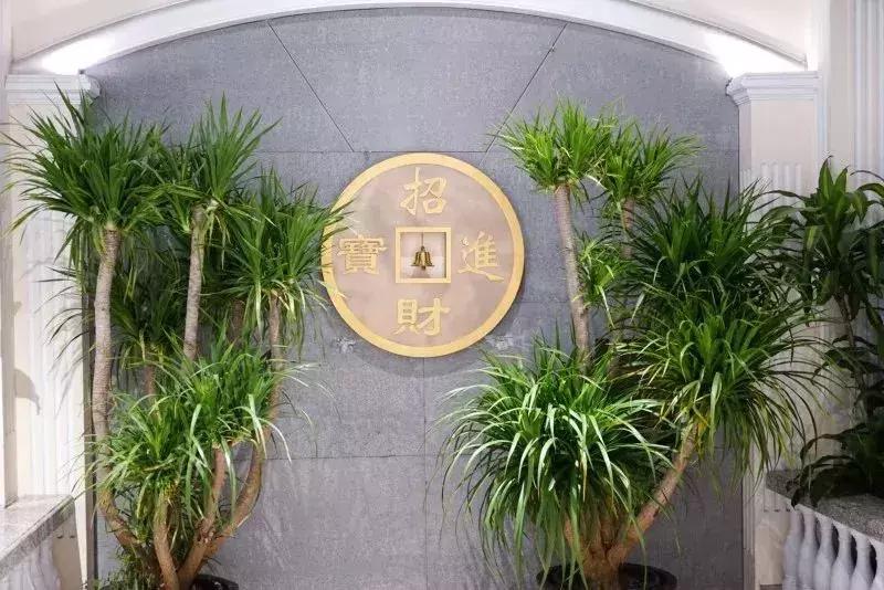 广州地铁直达绝美古镇,地铁广州打卡