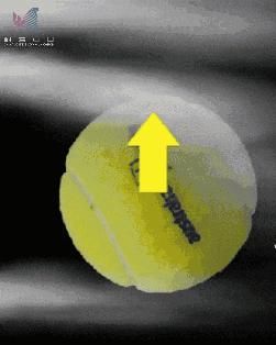 俄罗斯世界杯：说说香蕉球，还有一种你可能没见过的船