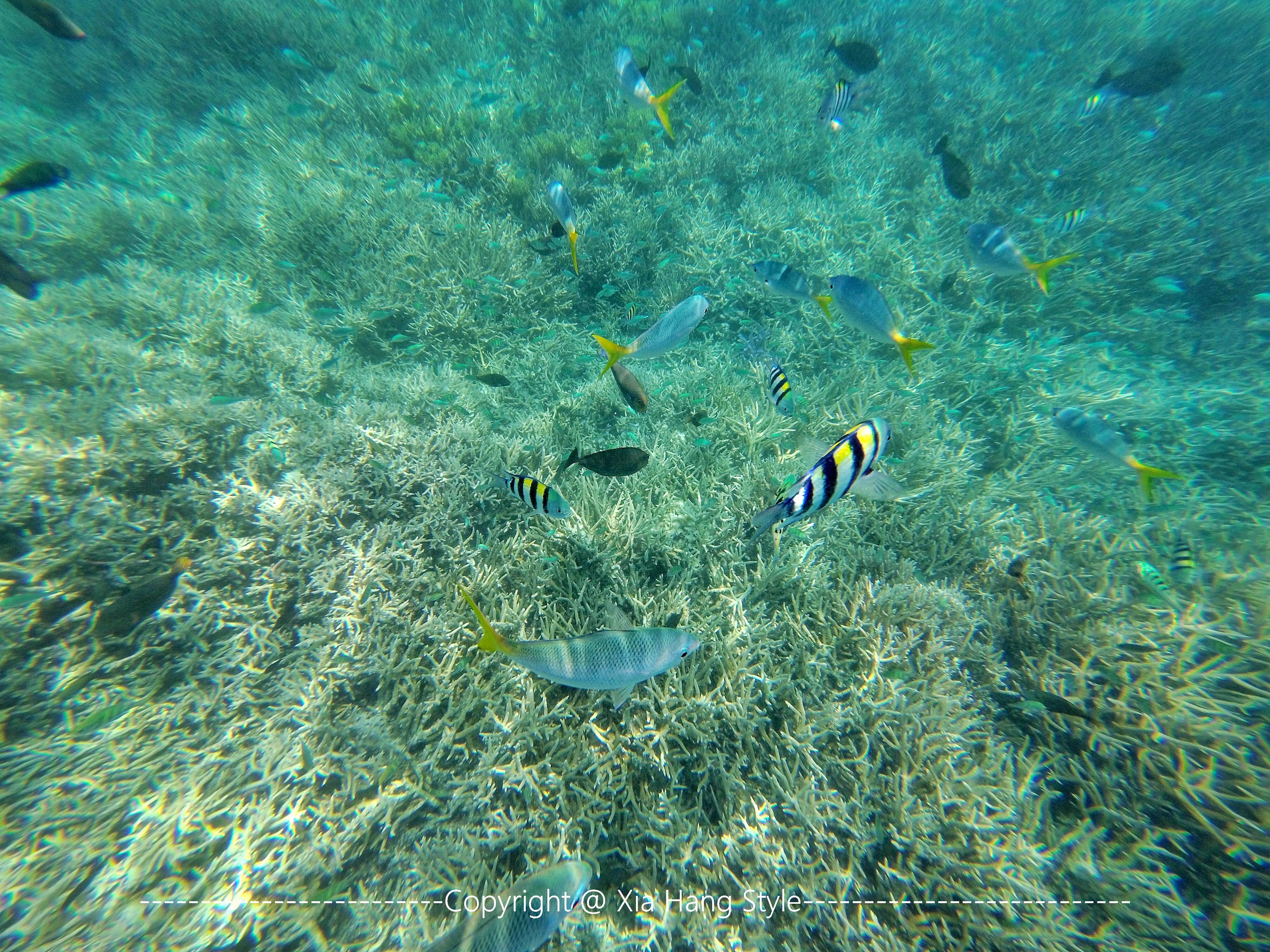 世界上人口最少的岛国，先后被4个国家统治，却是潜水者的天堂