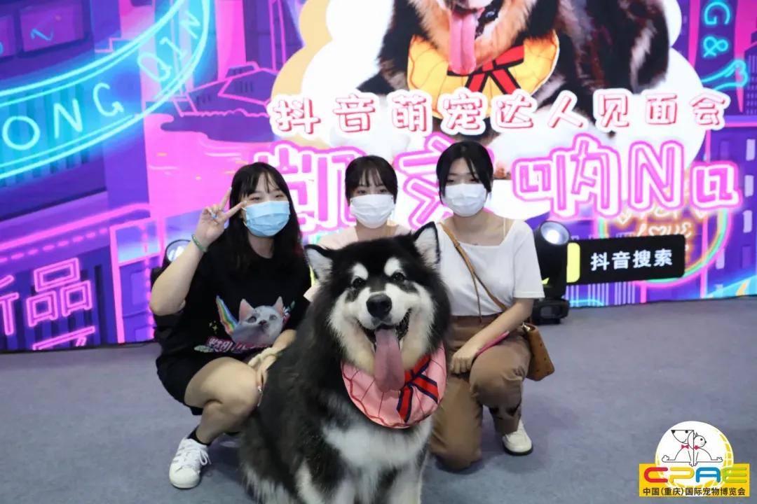 第二届天一重庆国际宠博会,宠博会重庆2020