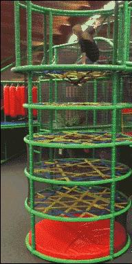 当了一天的摄影师,当了一上午的摄影师