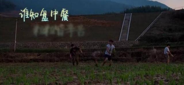 何炅穿2千元T恤插秧被喷？Baby干脆穿6500元爆款下泥田