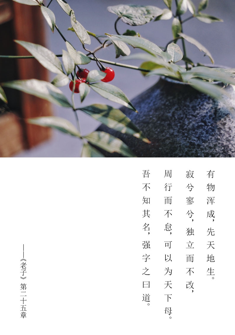 中国茶器美学,高端茶器建盏龙窑柴烧