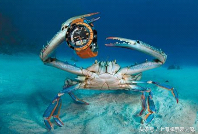 手表走时越来越不稳定？手表佩戴及误差了解一下！