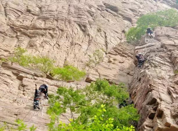 洛阳夏天一日游必去的地方景点,洛阳一日游适合去哪