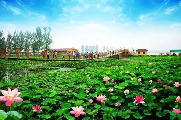 洛阳夏天一日游必去的地方景点,洛阳一日游适合去哪