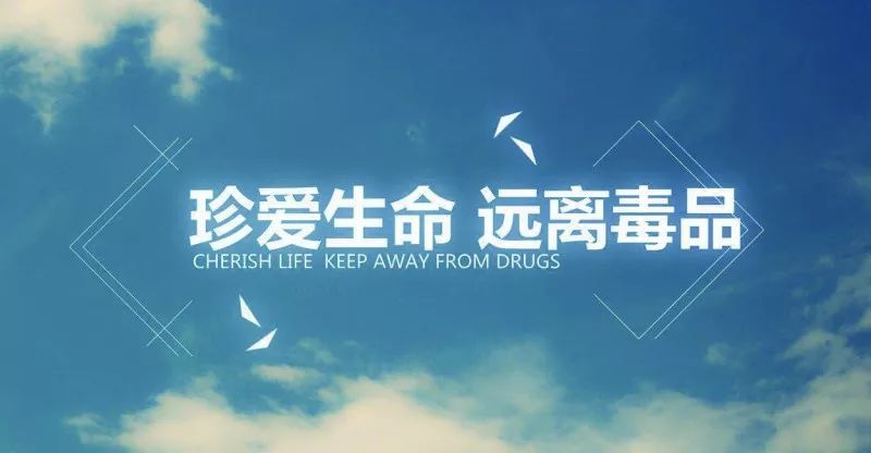 国际禁毒日揭秘鉴毒师,国际禁毒日和国际反毒日