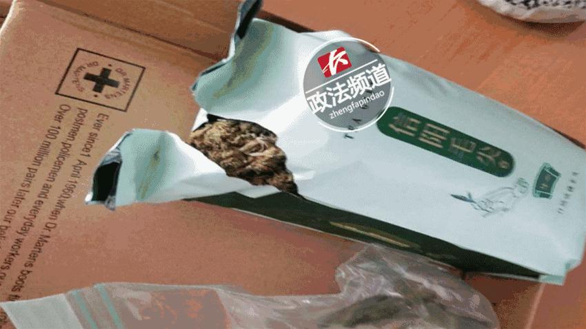 警方查处非法种植毒品,长沙市公安局破获特大大麻种植案