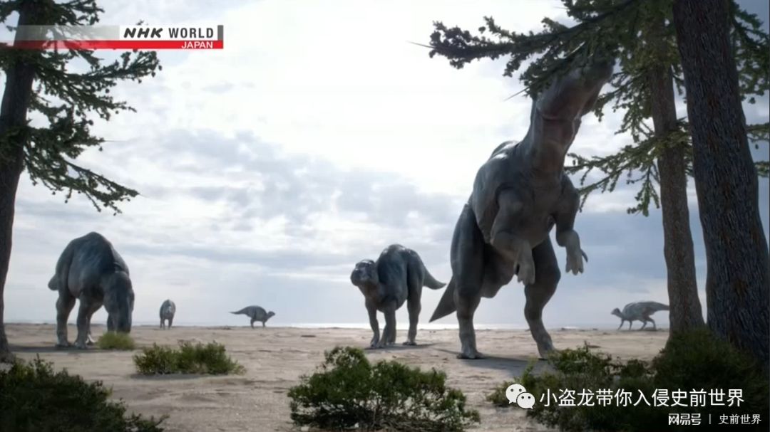 在日本发现的恐龙化石,史上最完好的恐龙化石