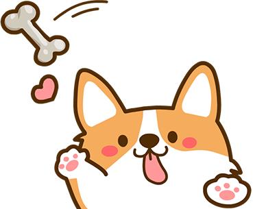 出远门再也不用担心“毛孩子”啦！在常州机场，宠物们也能坐飞机了~