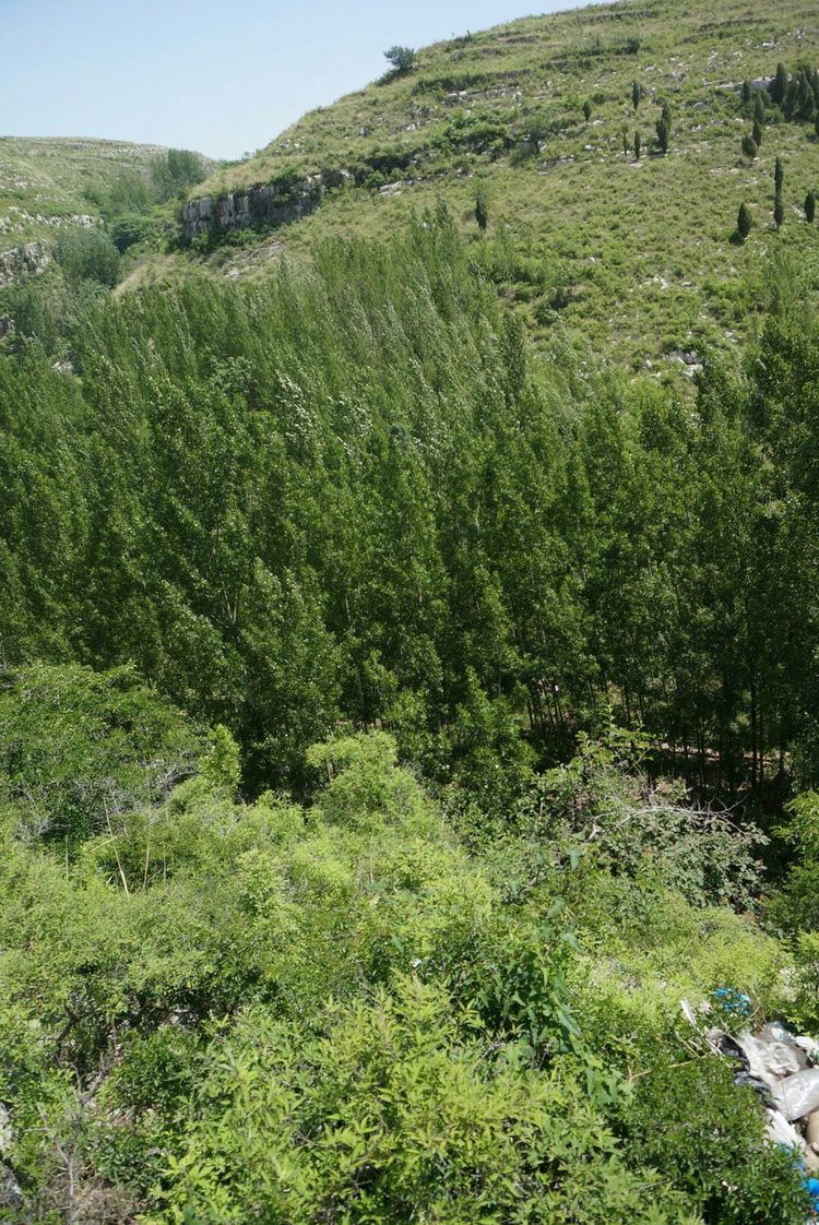 天晴湾风景区,淄川天晴湾