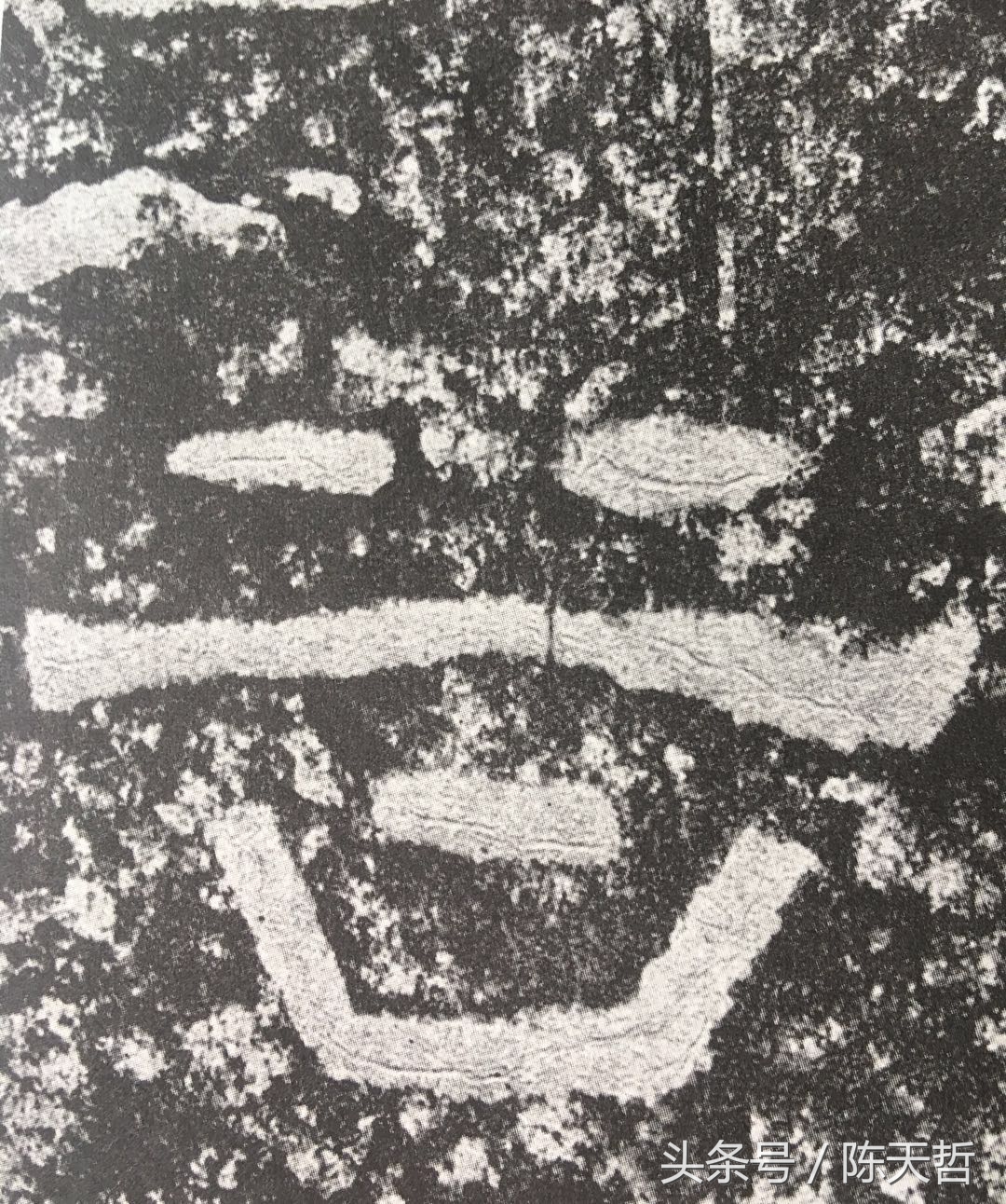 西狭颂笔法讲解,西狭颂临摹技法解析