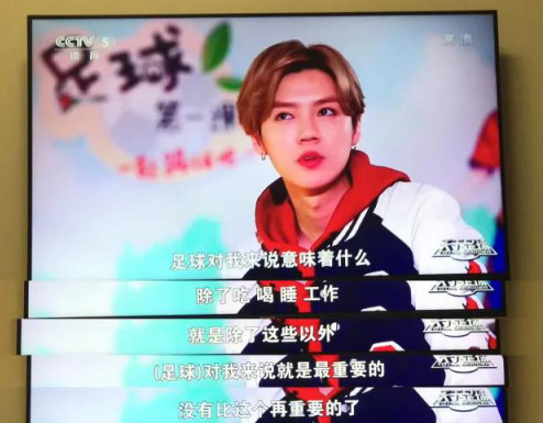 鹿晗有多爱芦苇,鹿晗有多爱猫