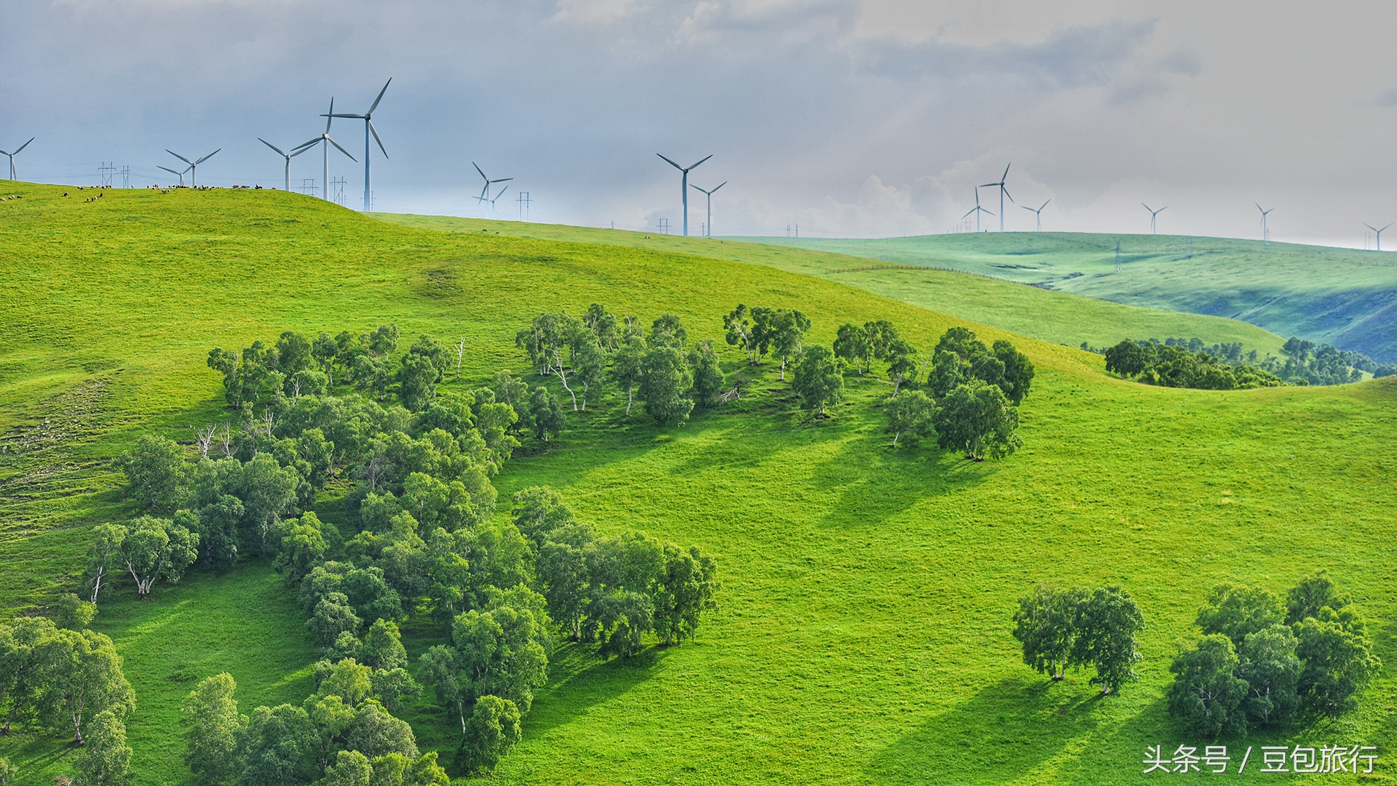 5-6天自驾游草原天路,51草原三天自驾游