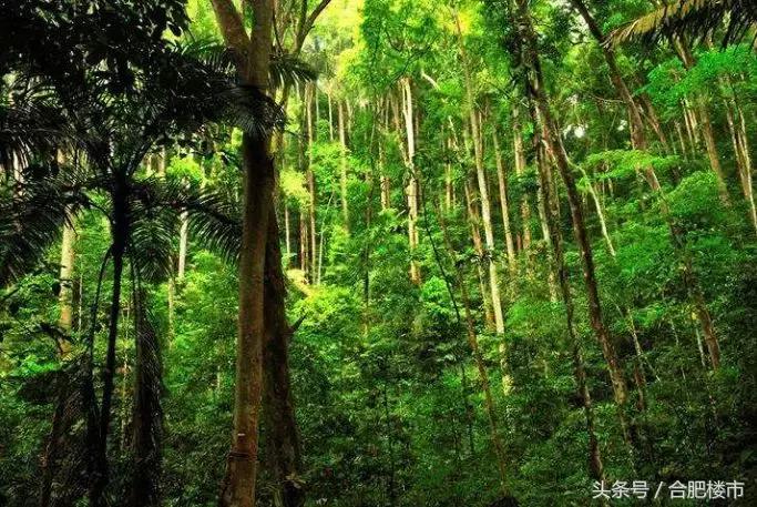 合肥政务和滨湖,合肥产融中心板块