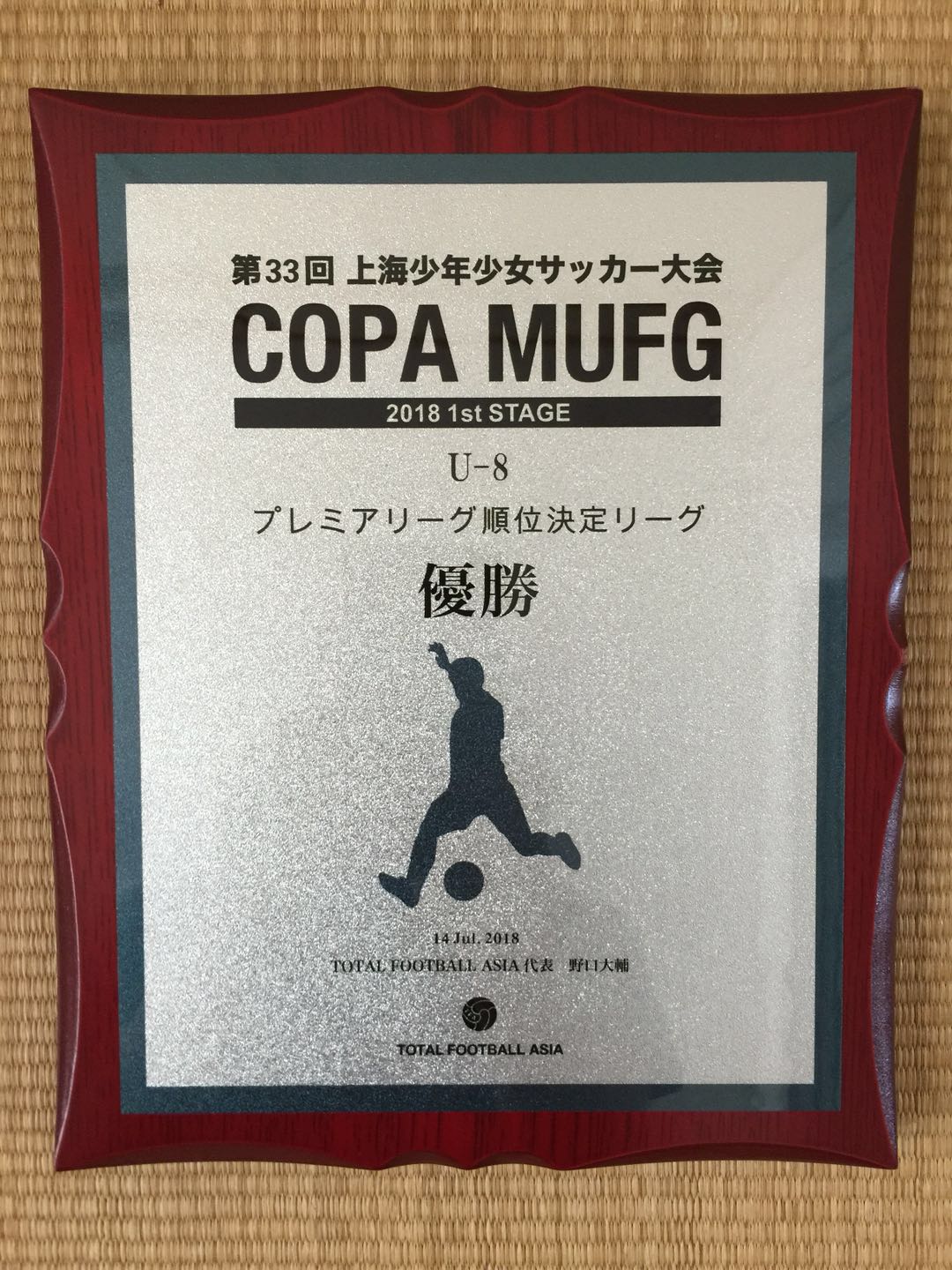 参加TFA青少年足球大赛后，为什么这些中国家长开始集体反思？