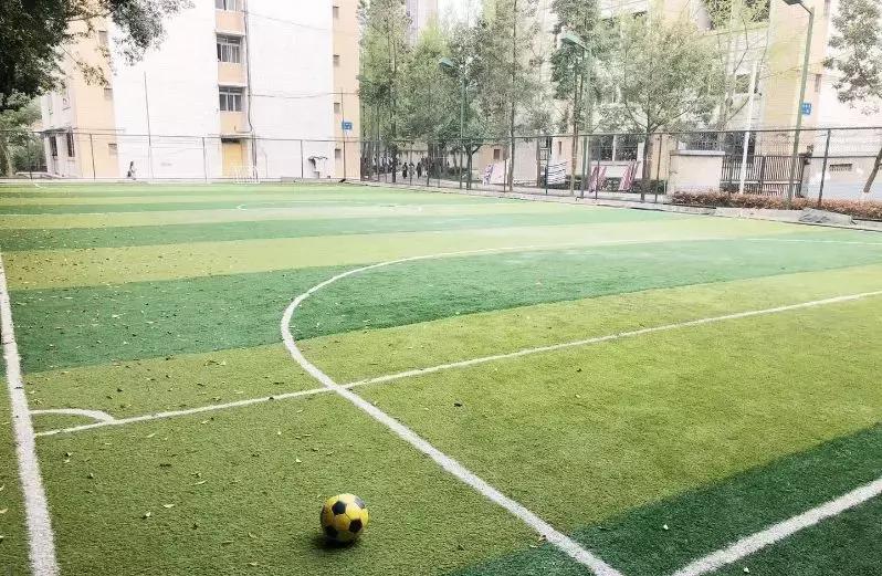 窝在家看世界,窝在家看世界杯视频