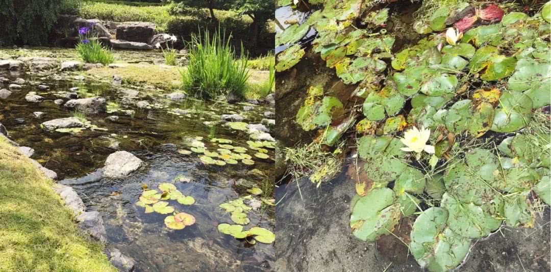 名古屋攻略大全,名古屋有什么玩的