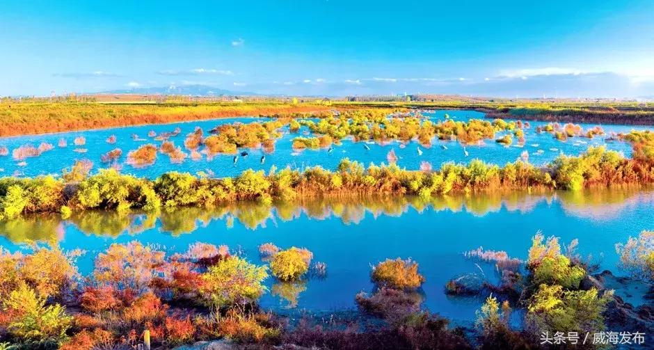 威海一个非常宜居的城市,威海是一个包容性很强的城市