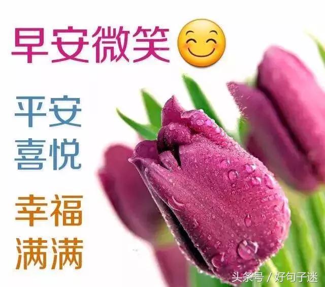 早上好问候语带鲜花表情包,早上好带字图片问候大全