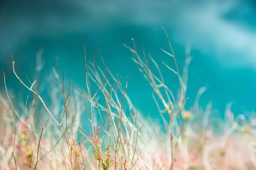 与锦华国旅携手揭秘高原母亲湖-泸沽湖神秘面纱