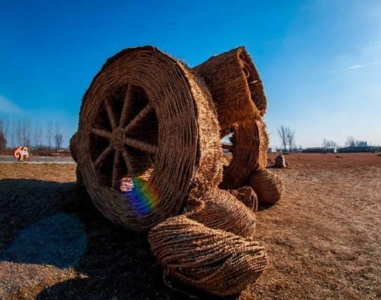 农村小本养殖创业项目大全,项目致富