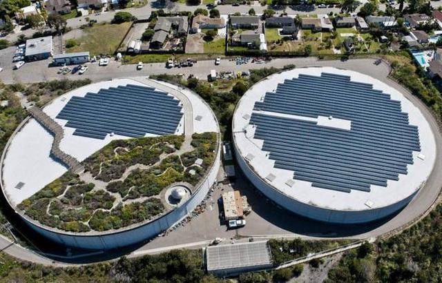 农村小本养殖创业项目大全,项目致富