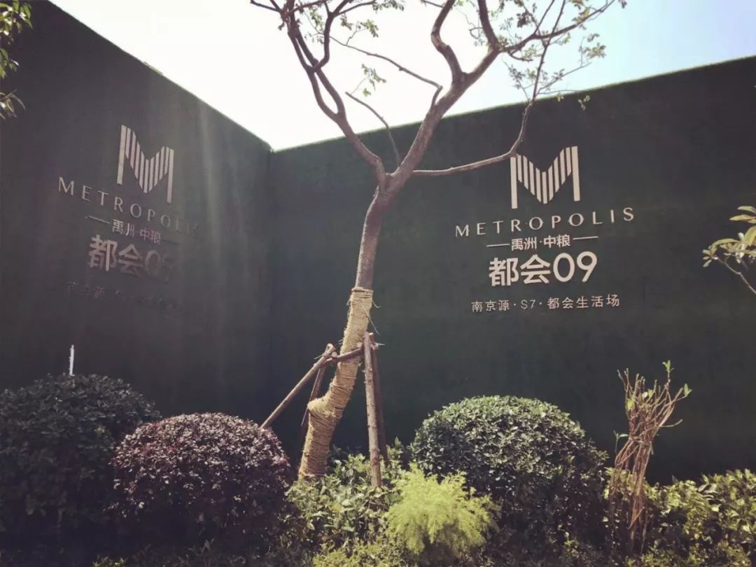 溧水即将搬迁楼盘,溧水城中新楼盘