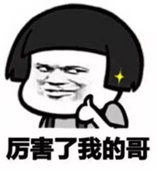 隐翅虫的图片和它的危害,隐翅虫严重后果图片