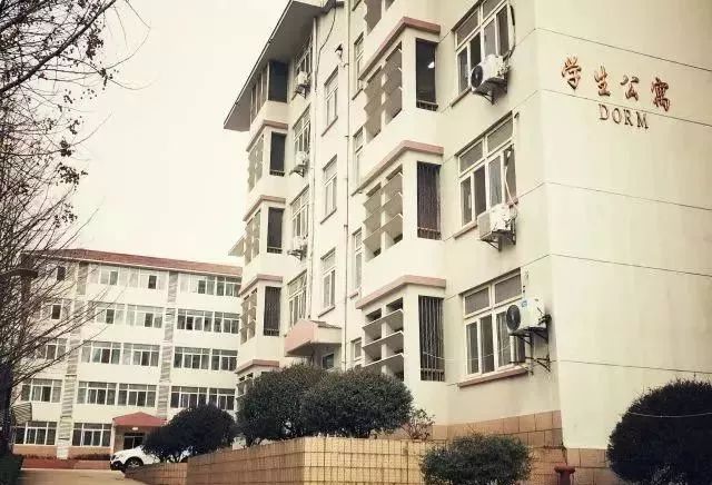 紫荆花路南京,紫荆花路昆明