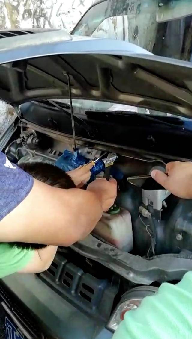 本溪路边发现蛇,本溪蛇事件