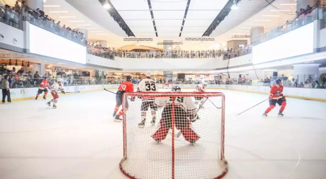 全球只有中国才有的动物,全球唯一的动物