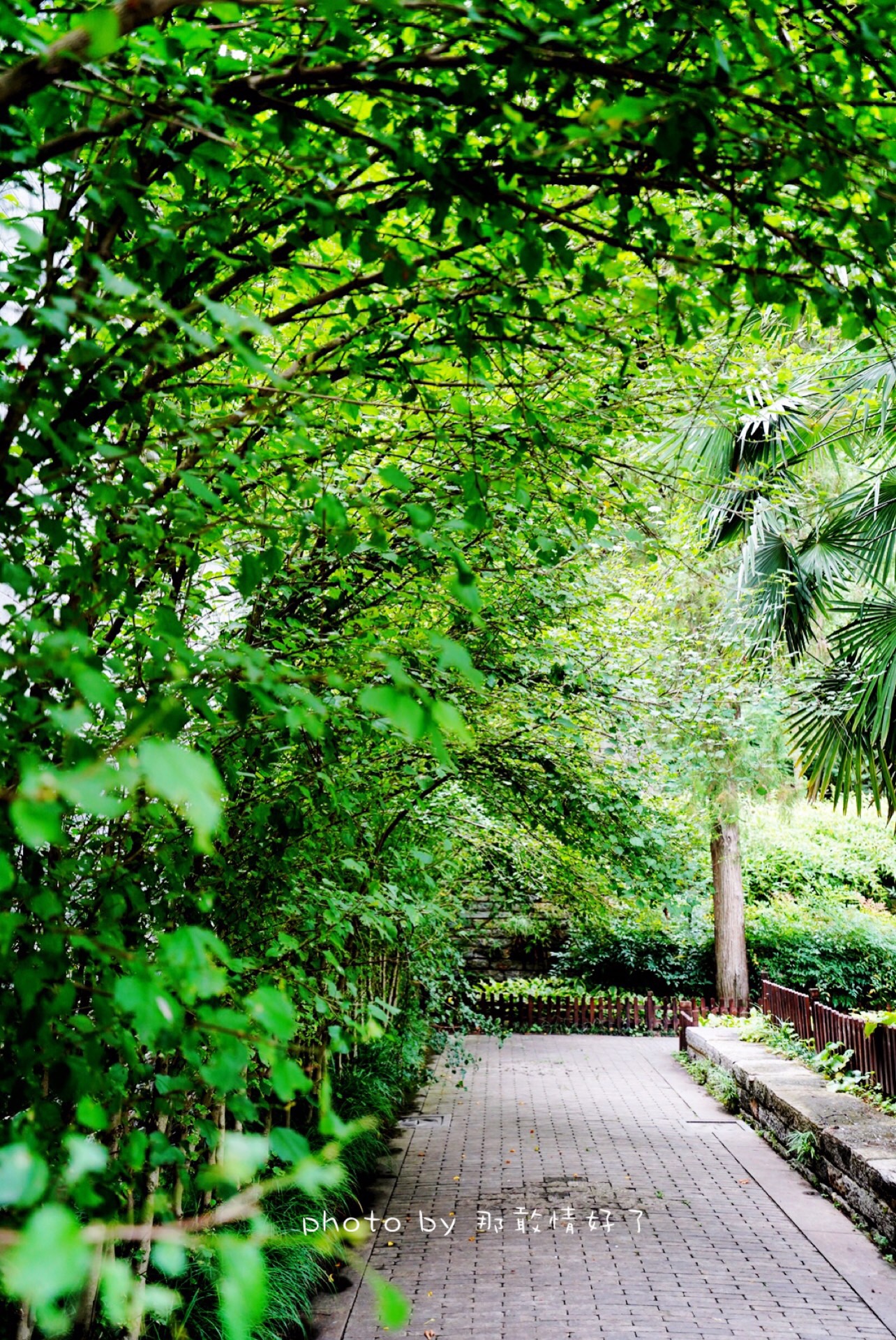 滁州小众的地方,滁州小众