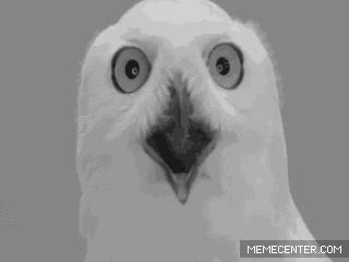 接了快递电话被骗26万,接了一个电话被骗了120万