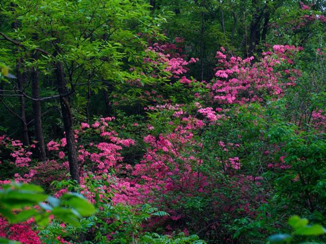 这里有十里亲水画廊,在海拔1400米的地方看世界杯,赏流泉飞瀑