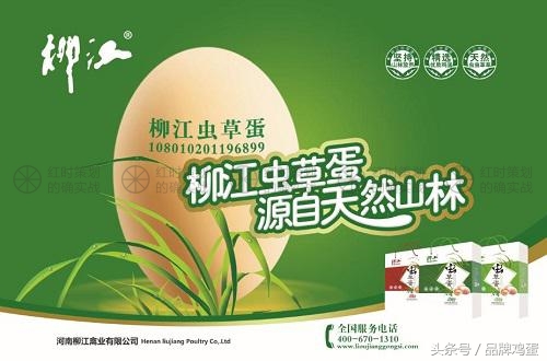 品牌鸡蛋，就是给鸡蛋打“喷码”这么简单吗？红时策划智库