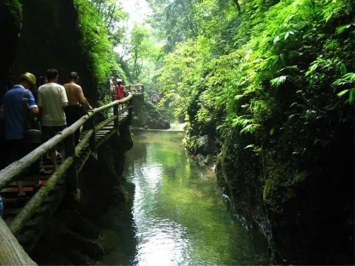 成都周边免费挖竹笋的地方,成都一日游必去十个免费景点