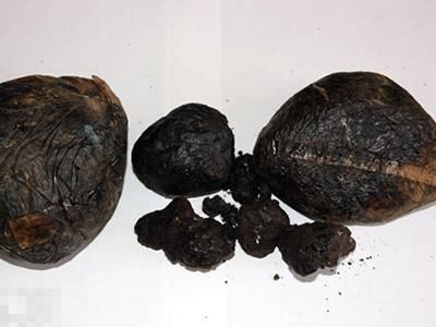 毒品预防最新消息,国家禁毒办权威发布毒品基本知识