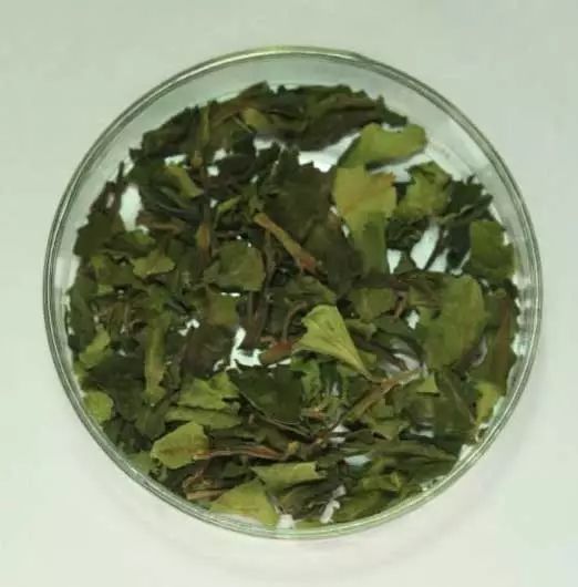 禁毒社区工作基础知识,禁毒知识宣传资料